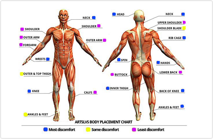 Muscle Activation Chart